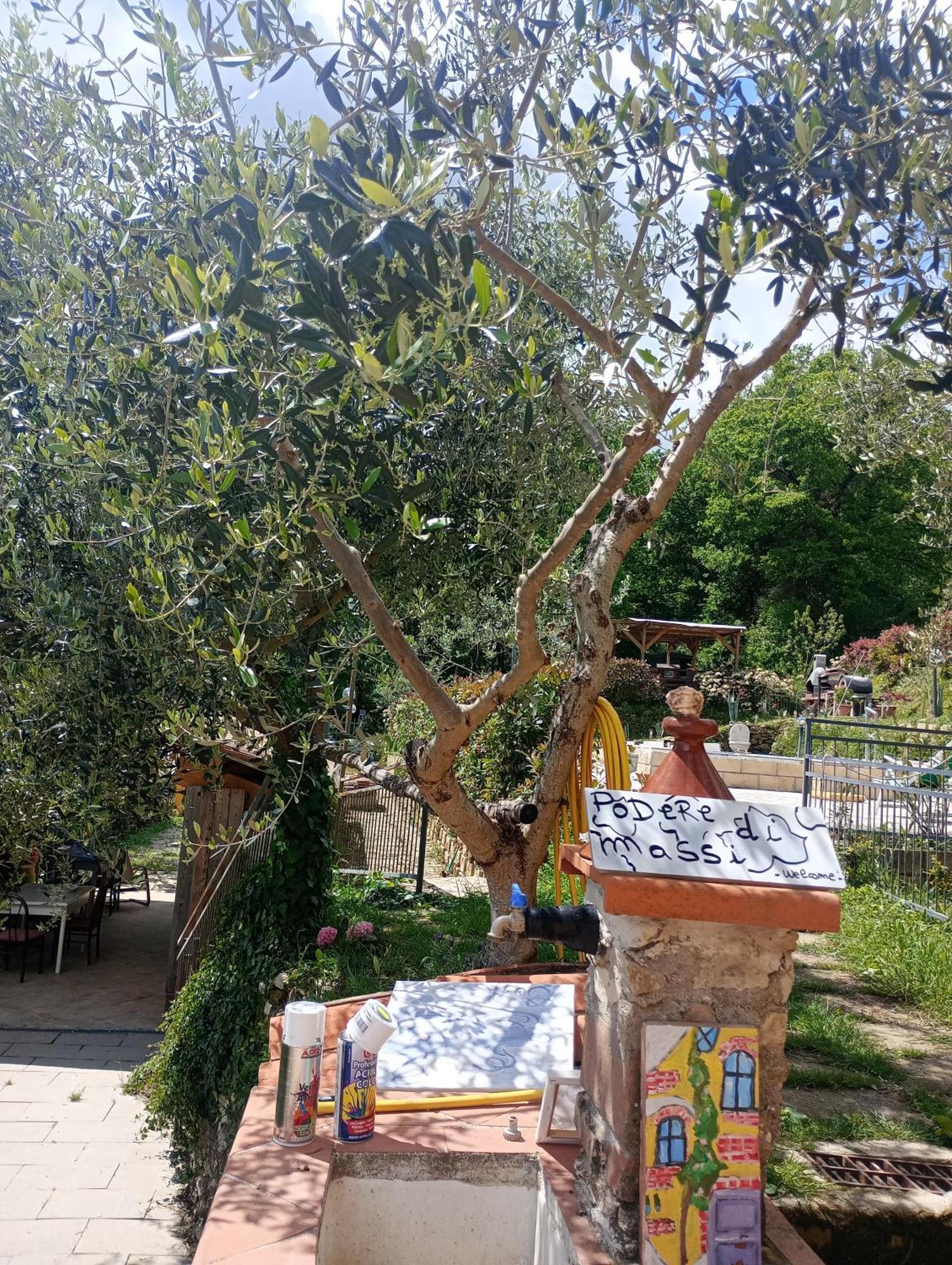 Il Podere Di Massi Barberino di Mugello Buitenkant foto